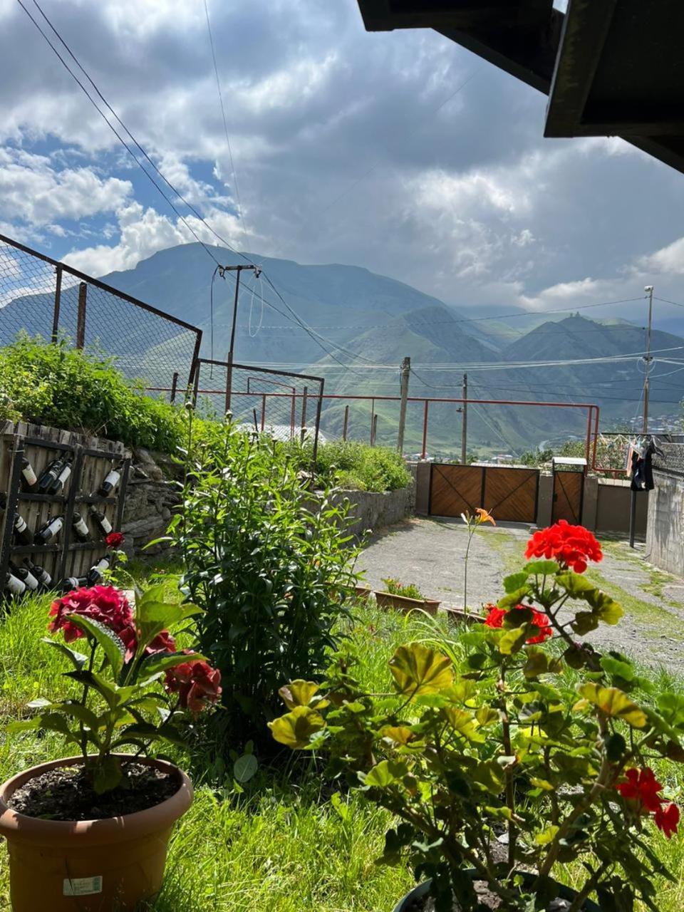Guesthouse Relax In Kazbegi Eksteriør billede