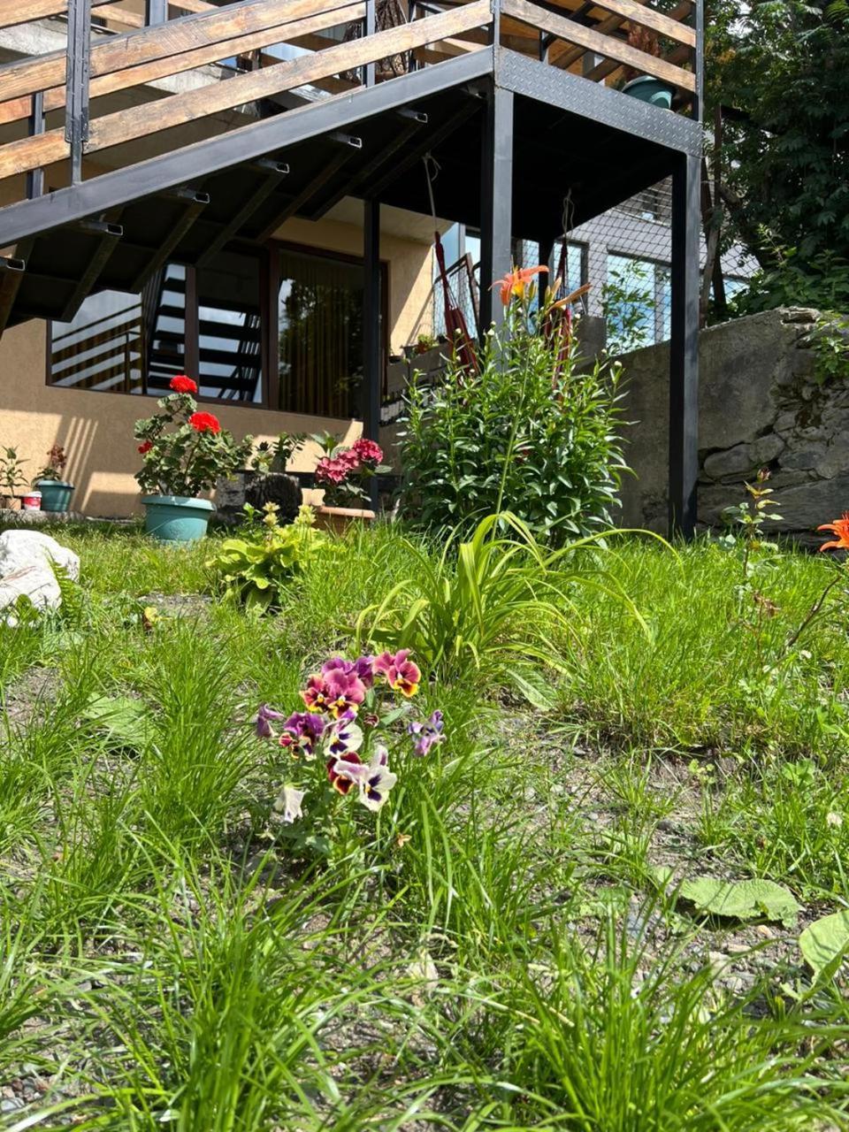 Guesthouse Relax In Kazbegi Eksteriør billede